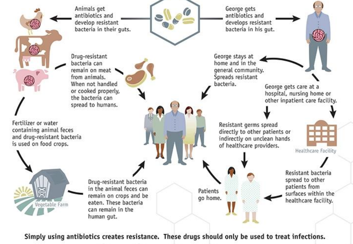 <p>Multi-resistant Salmonella infections are a major public health threat. </p><p>Antimicrobial resistance in Salmonella spreads through humans, the food chain and the environment. </p><p>One Health is an integrated, unifying approach that aims to sustainably balance and optimize the health of people, animals and ecosystems</p>