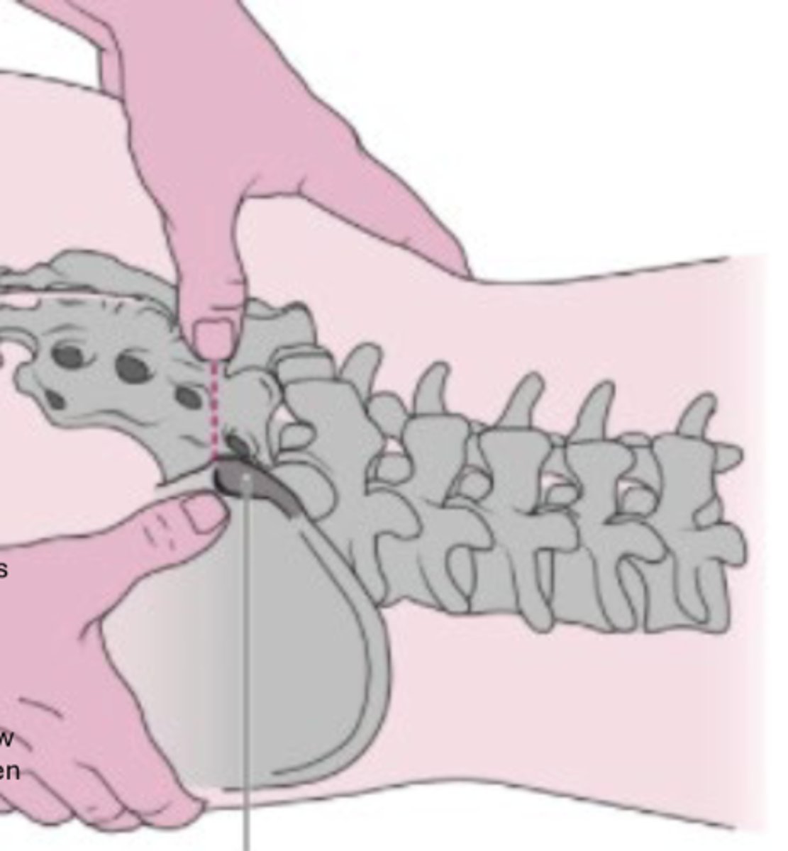 <p>What structure is this person palpating?</p>