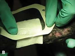 <p>What is the purpose of the pad shown </p>