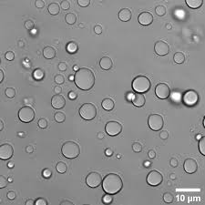 <p>1. terorija o nastanku probionata: oparin</p>