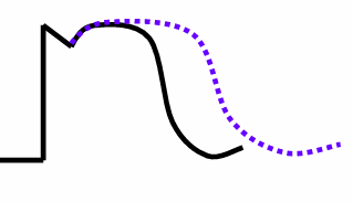 <p>Longer AP duration </p>