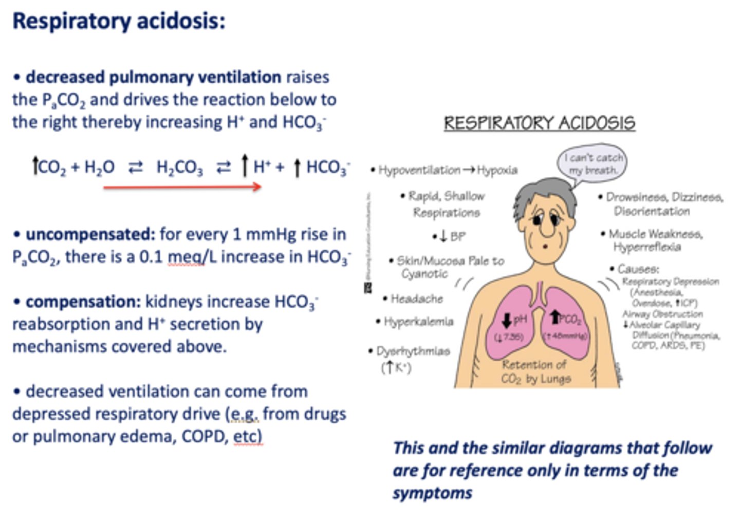 <p>- Kidney increase HCO3- reabsorption</p><p>- H+ secretion</p>