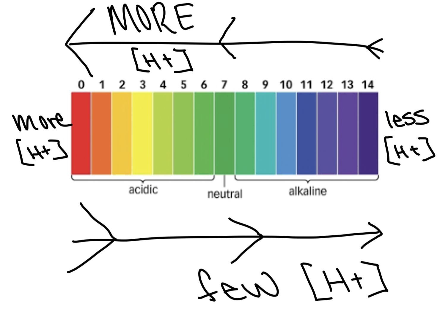 more;less