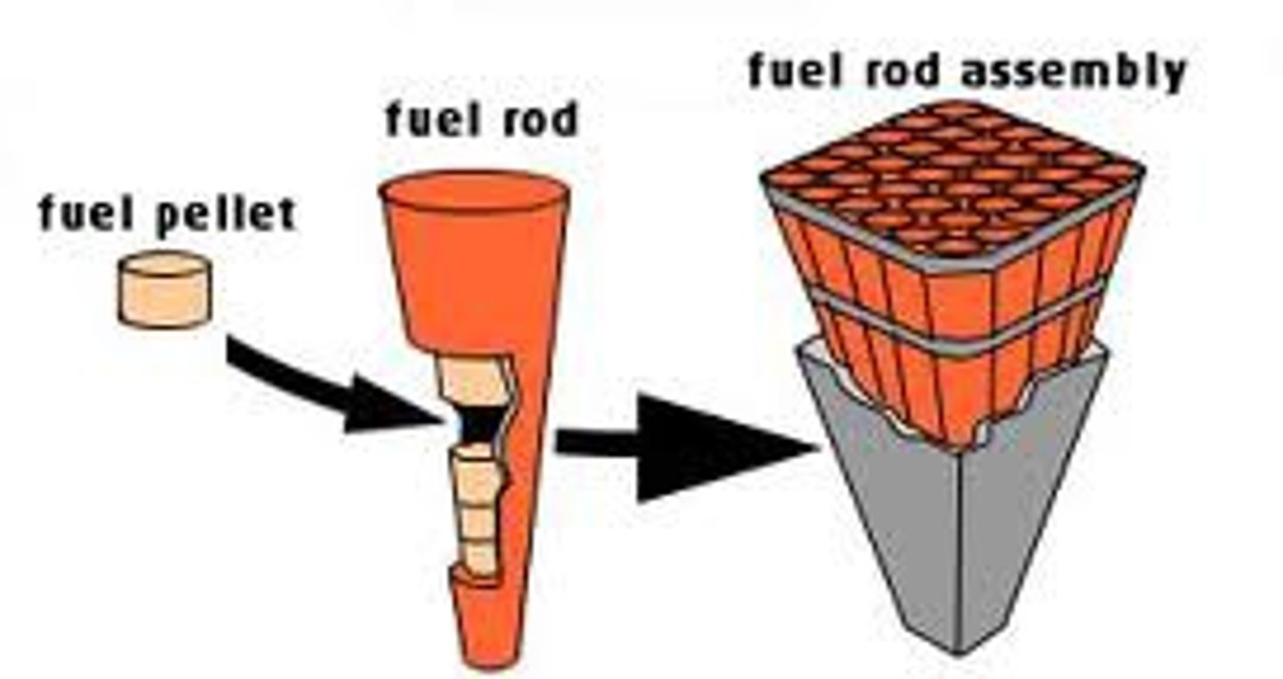 <p>-closed tubes about 4m long containing uranium fuel pellets</p>