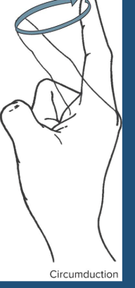 <p>What is “the tracing of an imaginary circle in the air with a fingertip while the rest of the hand is stationary?” <br><br>This combines flexion, extension, abduction, and adduction</p>
