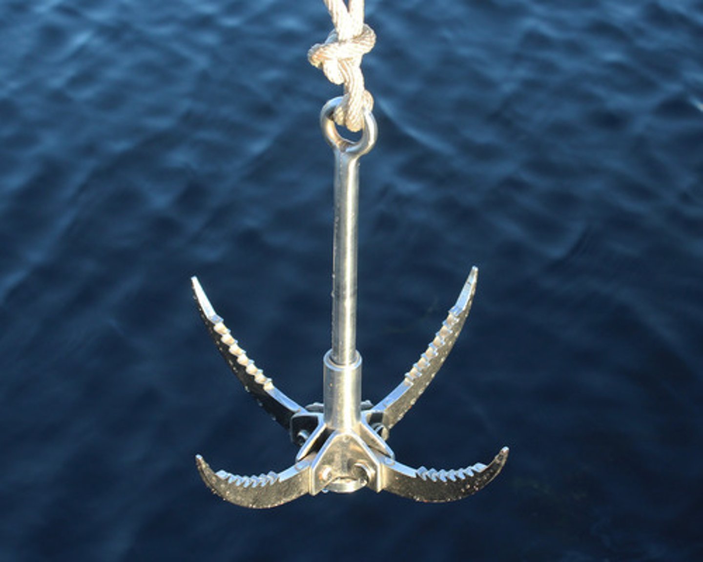 <p>? (grappling hook)</p>