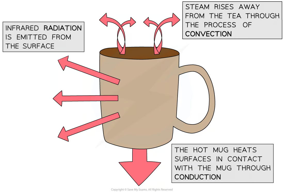 <p>The main way that thermal energy is transferred through liquids and gases</p>
