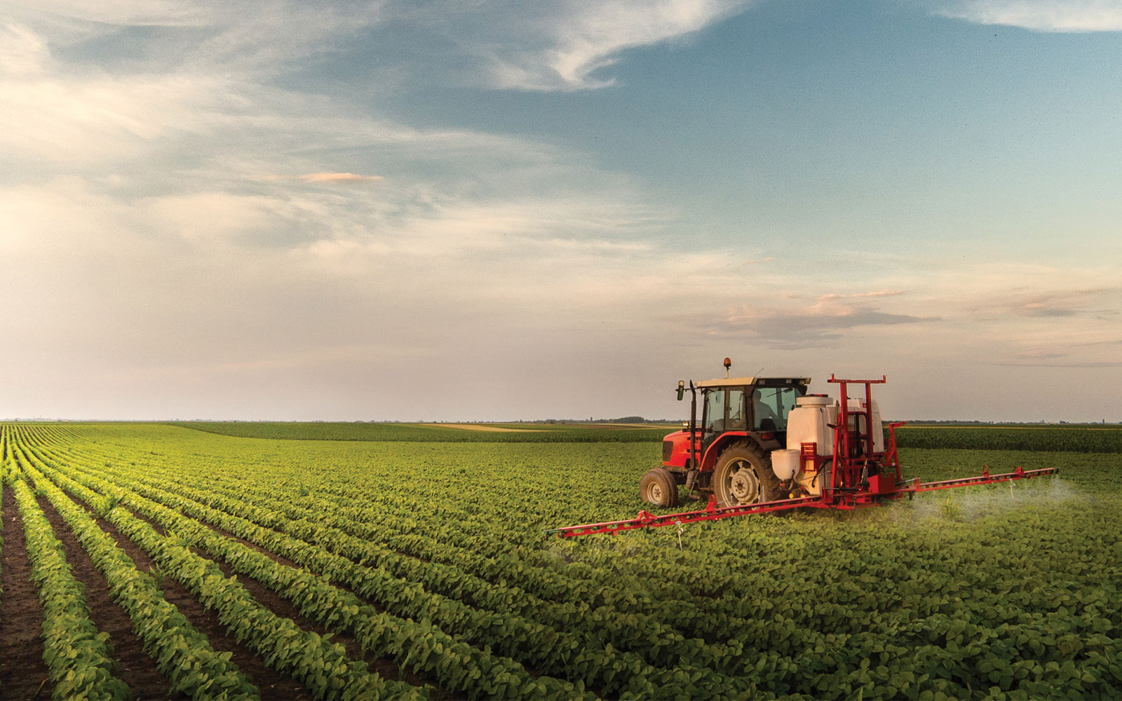 Agribusiness 