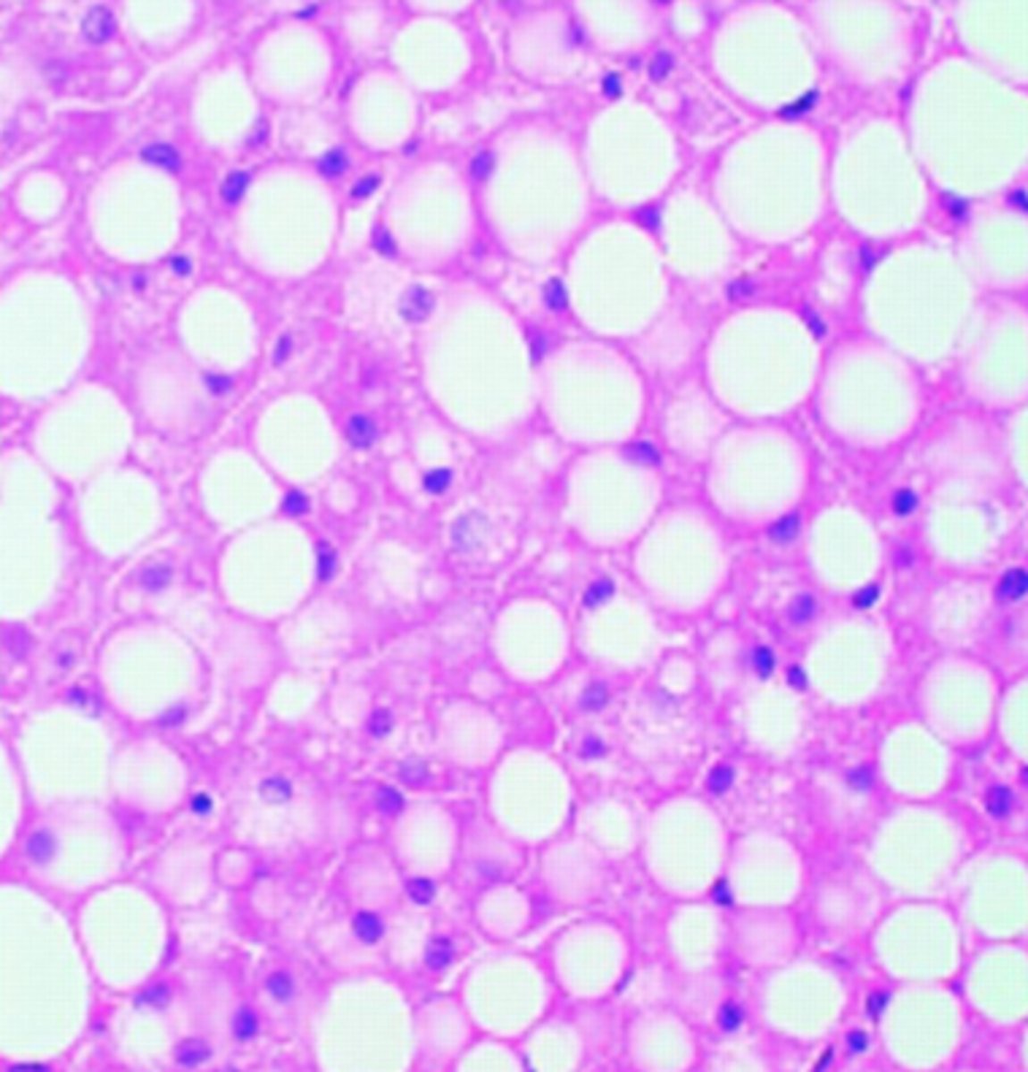 <p>Diagnosis?</p>