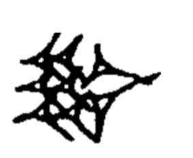 term image