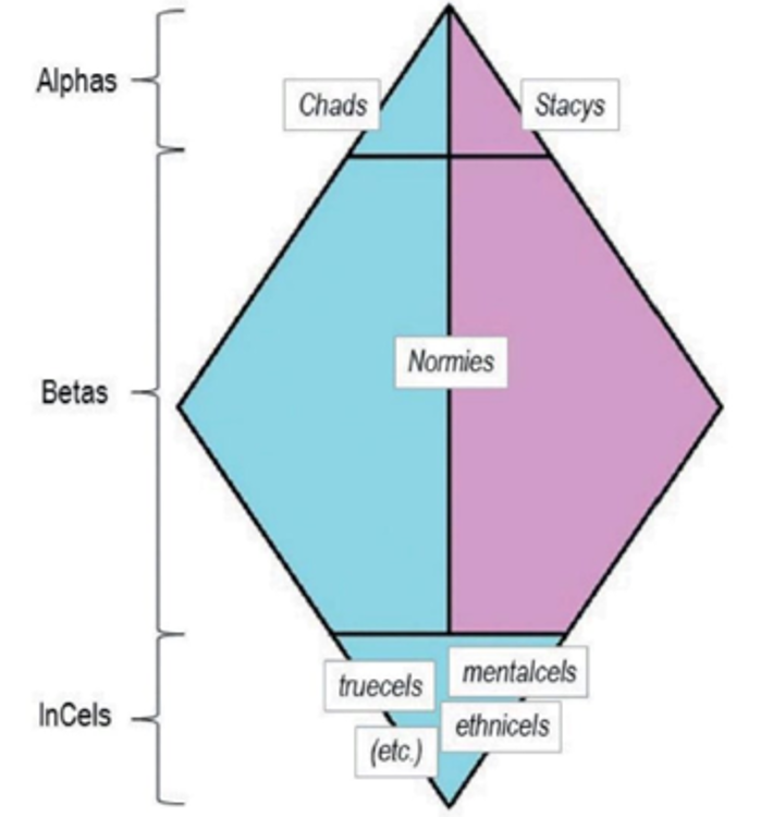<p>Incels believe in biological hierarchy in human attractiveness that governs sexual and romantic access. This attraction therefore determines social status</p><p>Belief top 20% of men are hyper attractive, high social status. Charismatic dudes they call ‘Chads’</p><p>Believe these men get sexual access to 80% of women.</p><p>Also believe 70% will be average - normies or betas. Get sexual access to only 20% of women.</p><p>Bottom of heir achy = where incels lies. Most physically unattractive, weirdest, lowest status, least sociable. No sex available.</p><p>No belief that 0 women have no access to sex - all women can get sex. Therefore incels are only men</p><p>Causes anger as they believe that they have a biological right to have sex from women but women are unfairly gratekeeping this right from them because they are too unattractive.</p><p>Resentment towards women.</p>