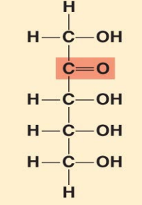 <p>Ketopentose</p>