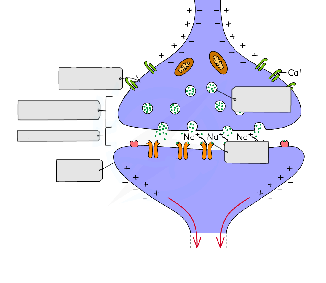 <p>Label this diagram</p>