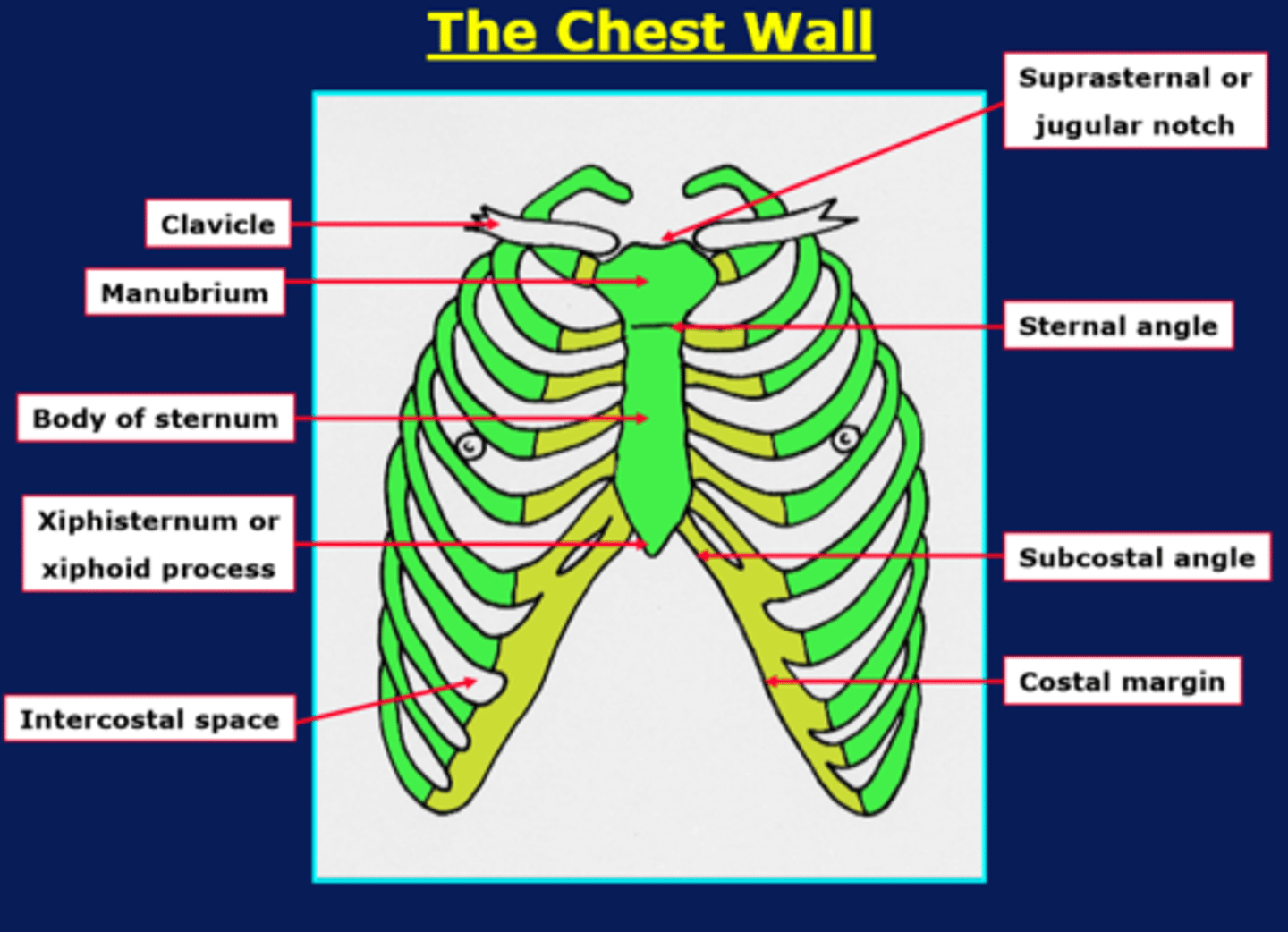 knowt flashcard image