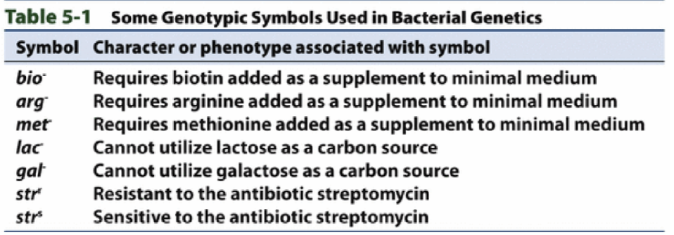 <p>can’t synthesize a needed nutrient (can’t survive on minimal medium)</p>