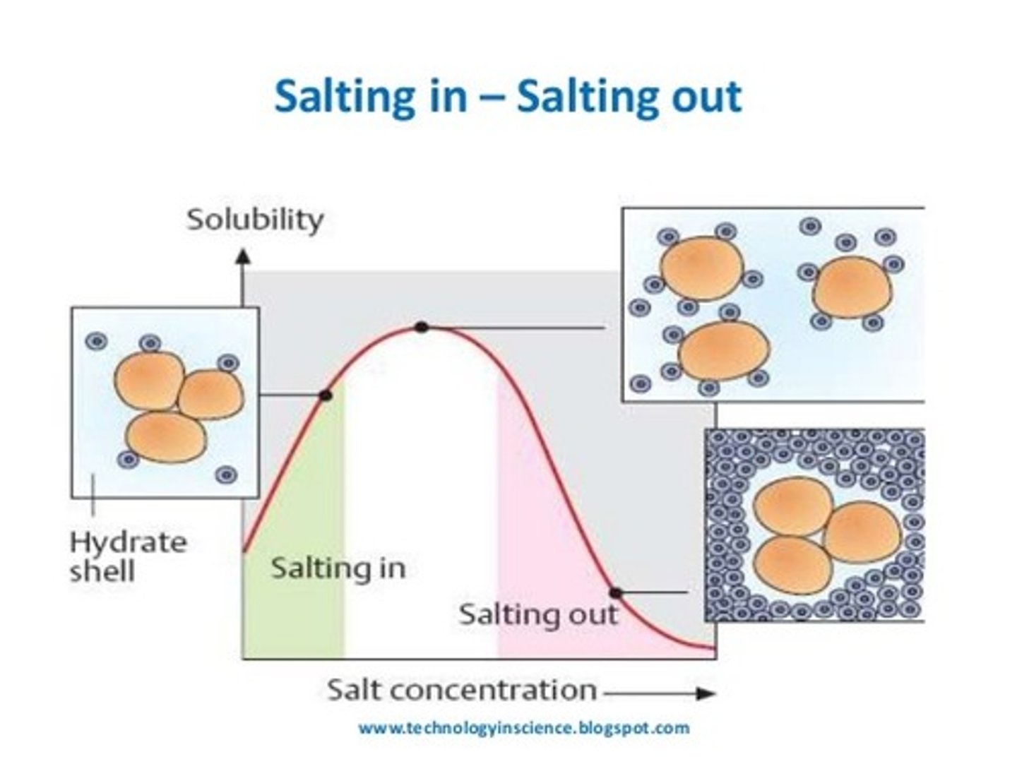 <p>- method of precipitating proteins for collecting</p><p>- effect by which most proteins are less soluble at high salt concentrations</p>