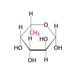 <p>what compound is this?</p>