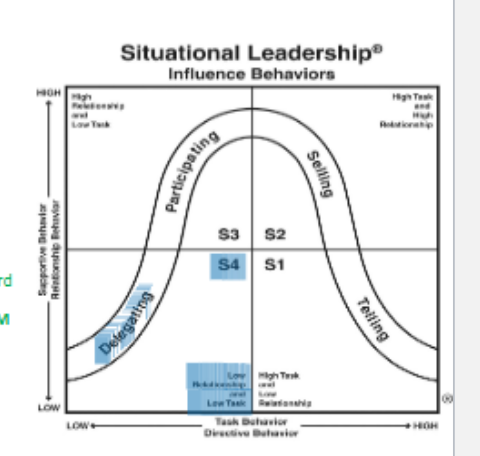 <p><span style="color: blue">From this chart, what does the blue highlighted box mean in terms of the behavior of the leader?</span></p>