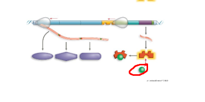 <p>What system + what structure</p>