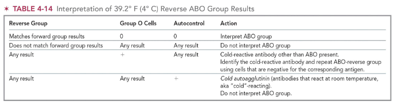 <p>cold-reactive antibody other than ABO present</p><ul><li><p>identify the cold-reactive antibody and repeat ABO-reverse group using cells that are negative for the corresponding antigen </p></li></ul><p></p>
