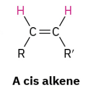 <p>Den stoppes med katalysatoren. Giver cis ift. Lithium reaktionen der giver trans</p>