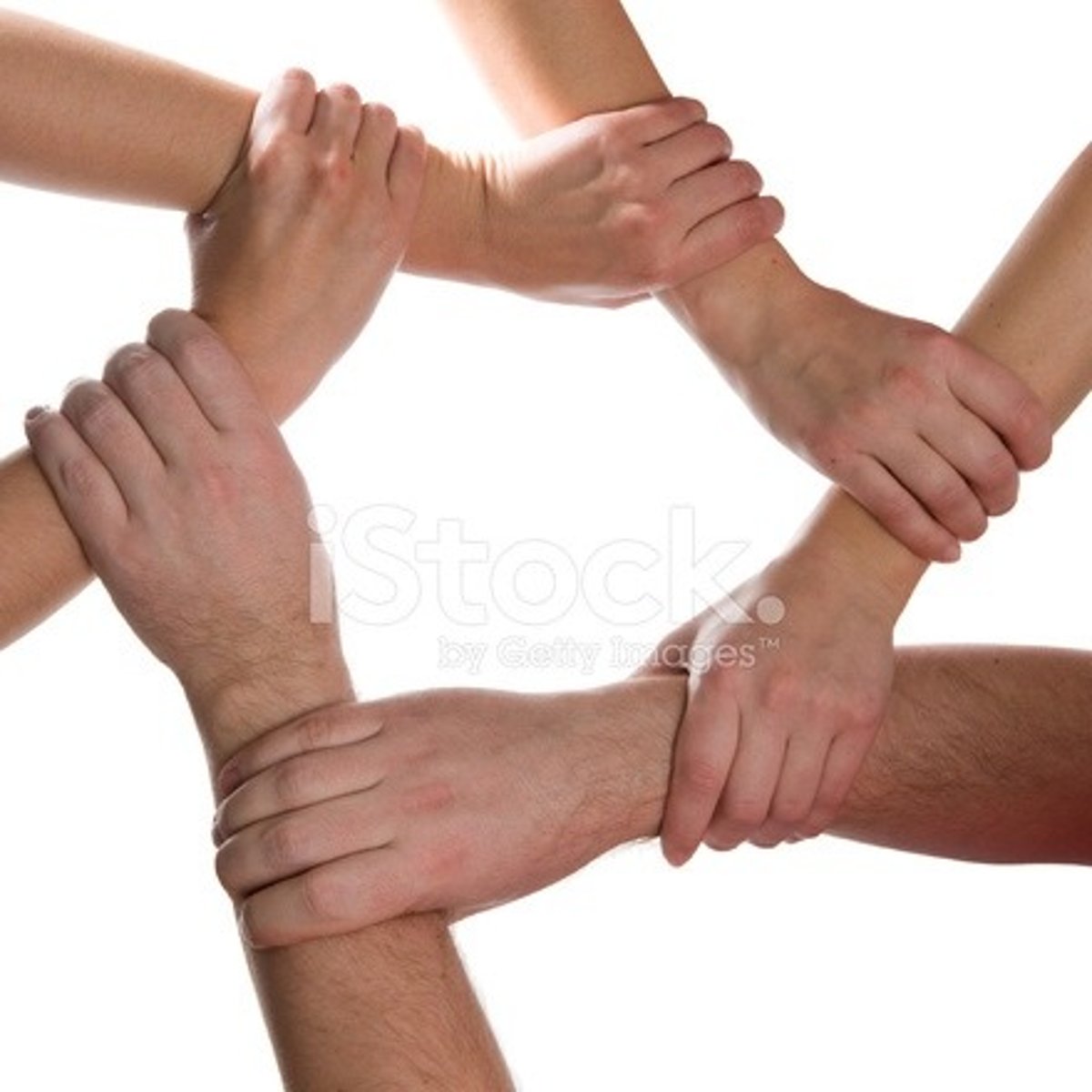 <p>community (n)</p>