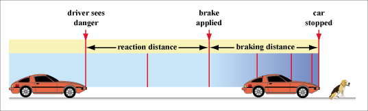 <p><strong>Distance covered by the vehicle the moment the braking system activates and slows the vehicle to a complete stop.</strong></p>