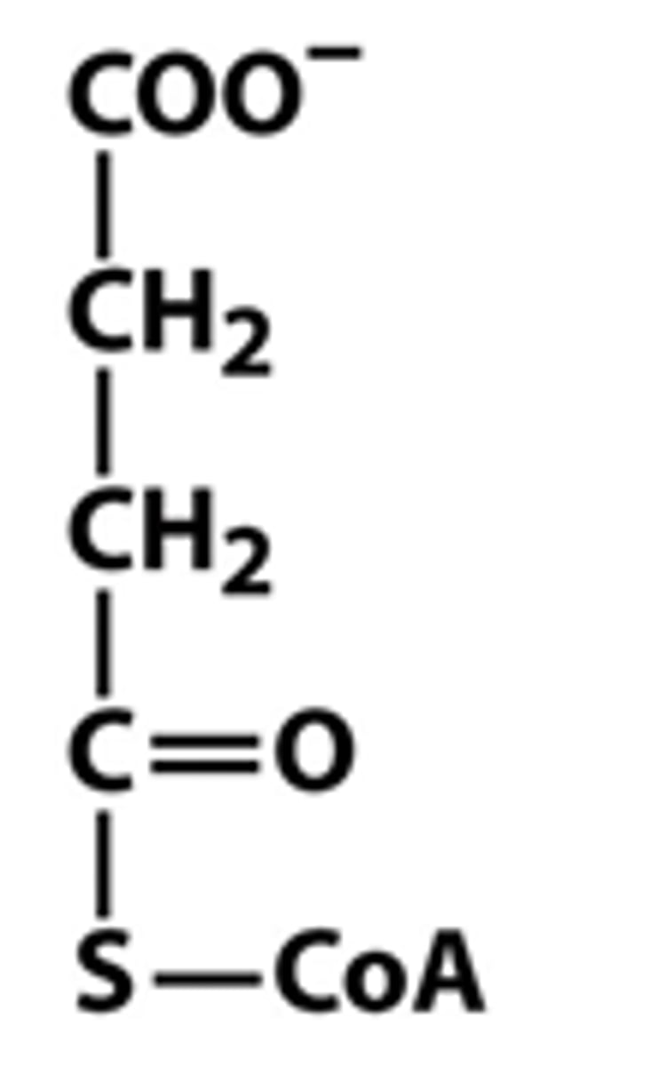 <p>What molecule is this?</p>