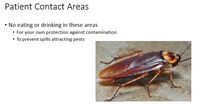   

false

•No eating or drinking in these areas

•For your own protection against contamination

•To prevent spills attracting pests 