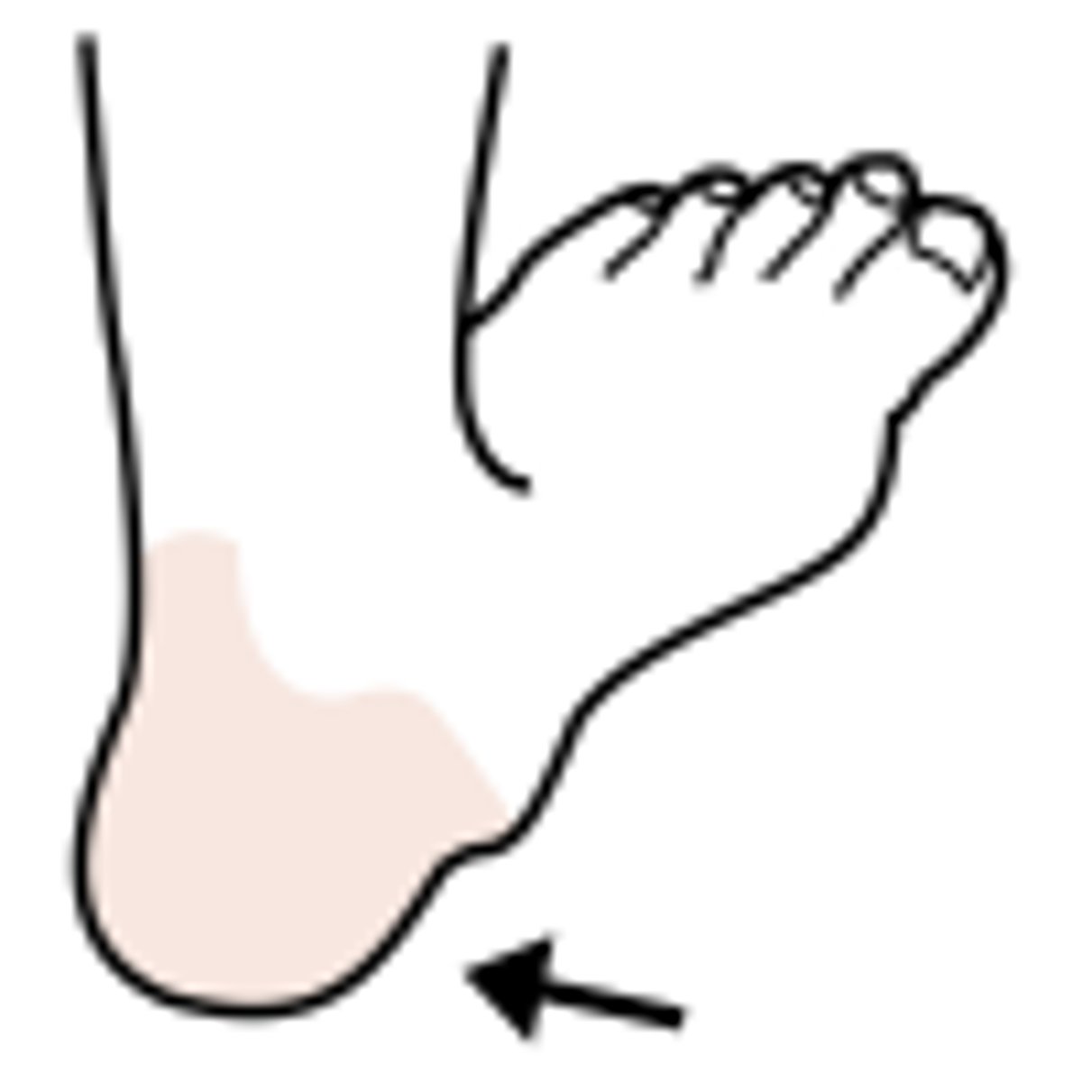<p>heel</p>