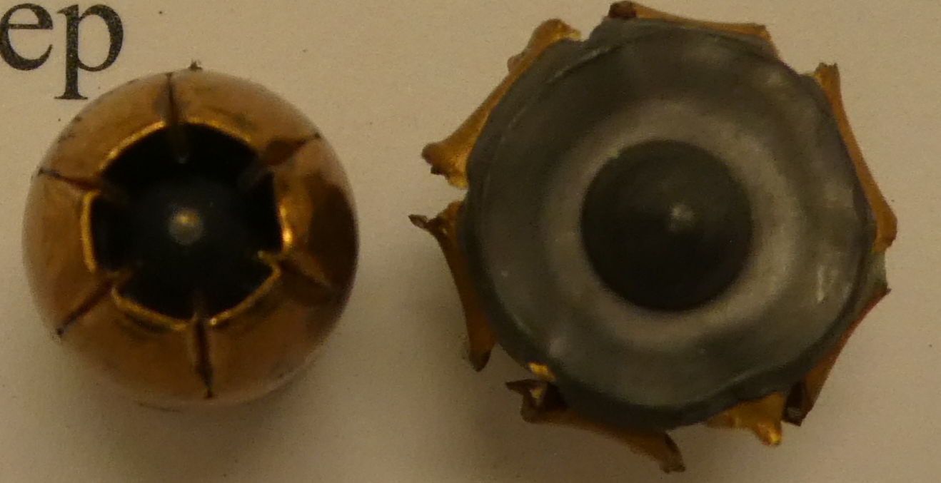 <p>The bullet of which cartridge is shown in this photo?</p>