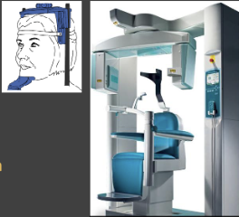 <p>They sit, stand or lay with their head between x-ray source and detector (head stabilization/immobilization is key)</p>