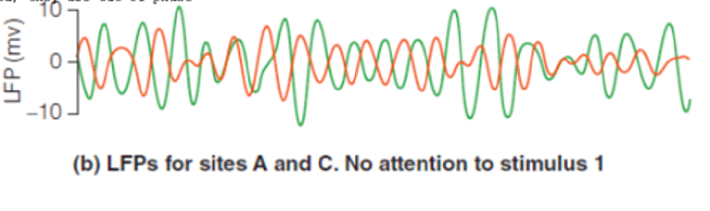 <p>brain areas A and C were firing - the same amount as when there is attention to stimulus 1. But the waves are not synchronized.</p>