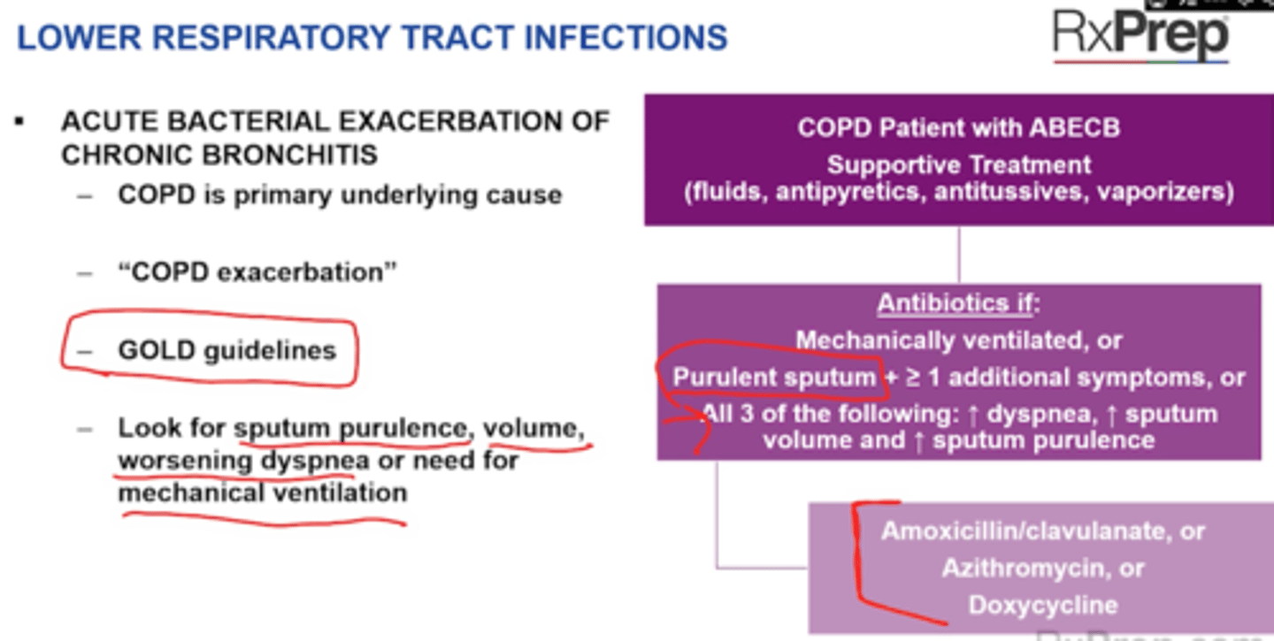 <p>want to cover Bordetella pertussis (whooping cough)</p><p>Abx not recommended unless pneumonia is present - exception is Bordetella pertusis --></p><p>Tx: macrolide (azithromycin, clarithromycin) or Bactrim</p><p>Chronic Bronchitis ABEcb - COPD</p><p>+ Supportive tratment (O2, short acting inhaled bronchodilators, IV or PO steroids)</p><p>Use Abx for 5-7 days if</p><p>+ Increased dyspnea, increased sputum volume, increased sputum purulence</p><p>+ Or if mechanically ventilated</p><p>+ ABX: Augmentin, or azithromycin, or doxycycline</p>