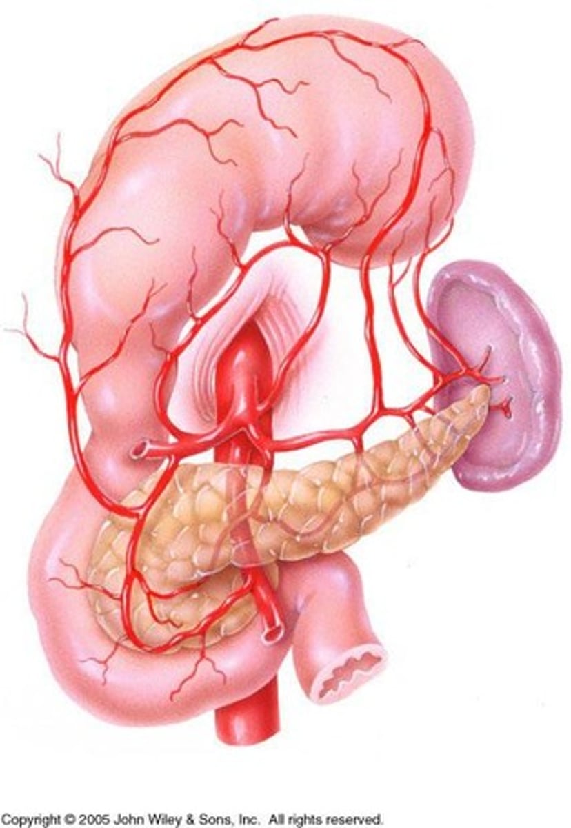 <p>A system of veins that carries blood from the gastrointestinal tract and spleen to the liver.</p>