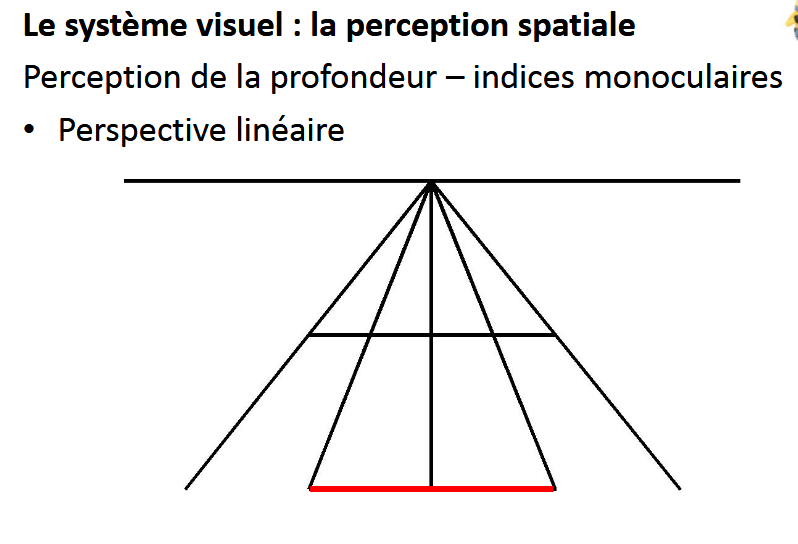 <p>on croit que la ligne du dessus est plus grande que celle en rouge, mais elles sont identiques</p>