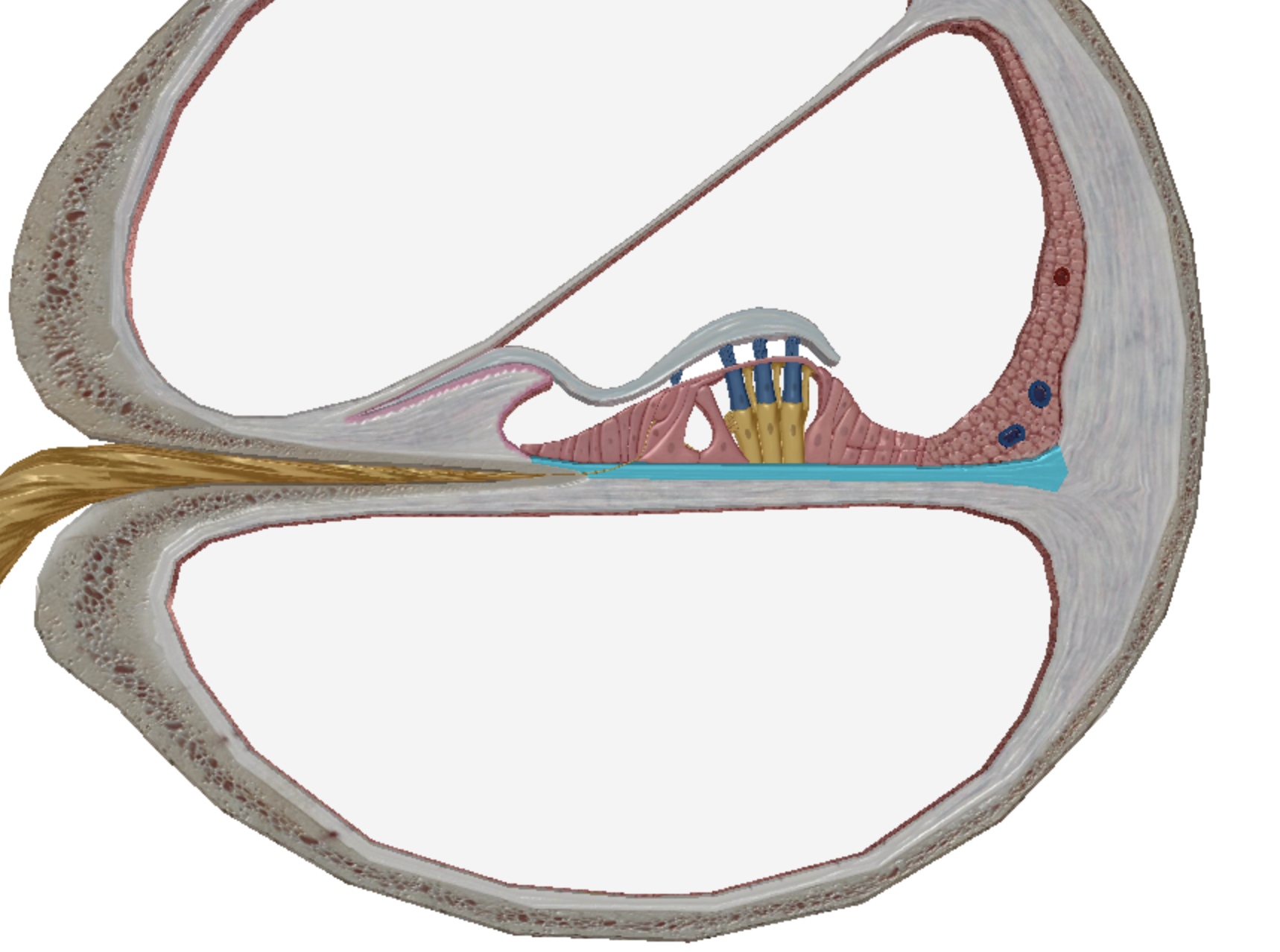 <p>what is highlighted </p>