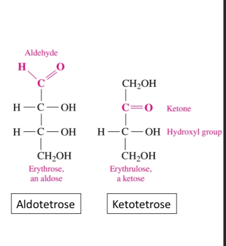<p>In simple cases it contains a carbon chain, an aldehyde (aldose) or ketone (ketose) group, and hydroxyls on each carbon atoms except the carbonyl </p>