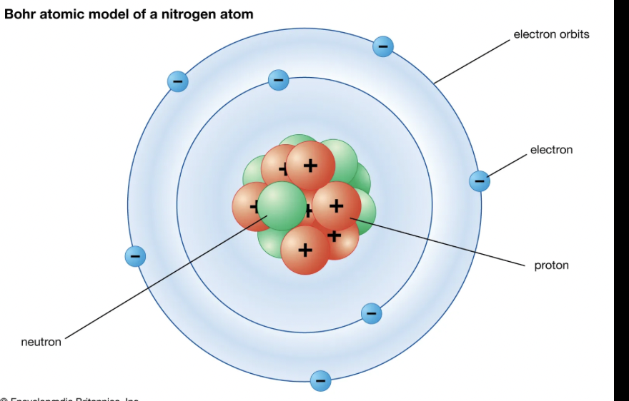<p><span>proposed that electrons exist in specific energy levels. When electrons "jump" between these levels, they emit or absorb light at specific wavelengths, explaining spectral lines and atomic stability (his experiment). Experimental data from hydrogen’s spectral lines helped Bohr propose that electrons occupy discrete energy levels. His new model kept the movement of the orbit to still rotate in a circular motion, however in a different patterns (no neutrons though)</span></p>
