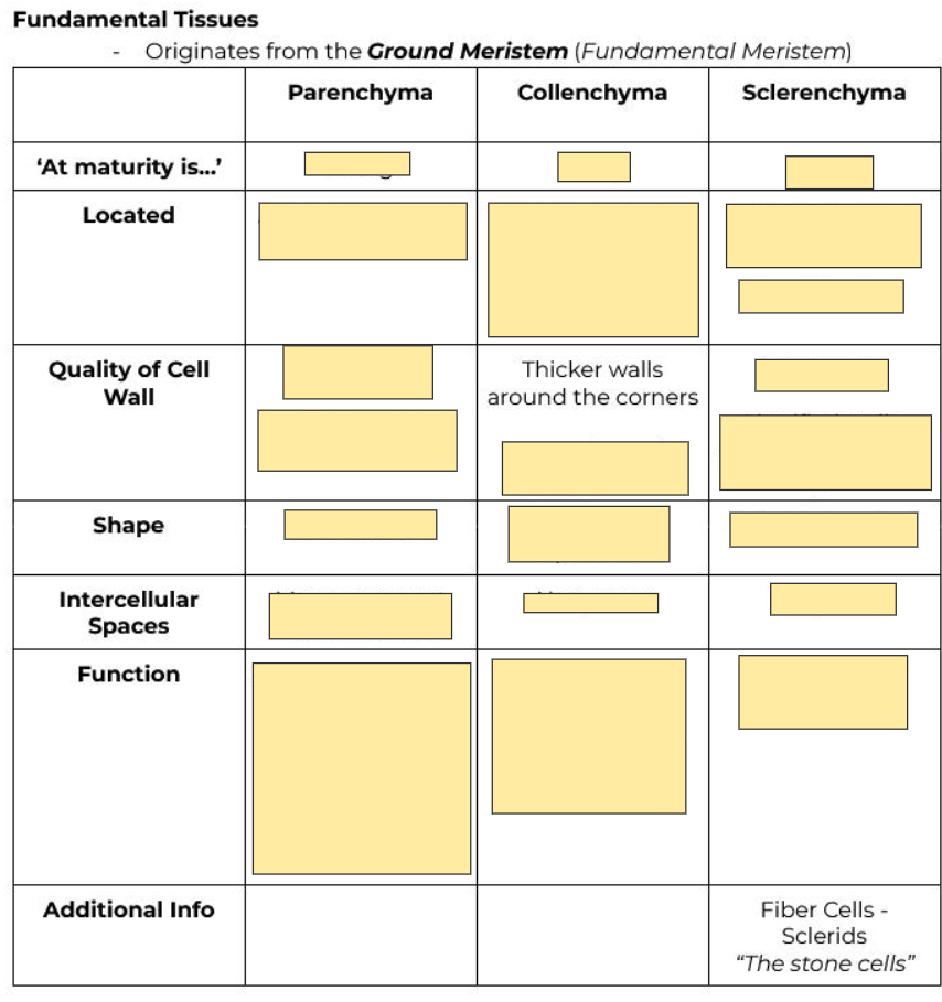 <p>Thicker walls around the corners</p>