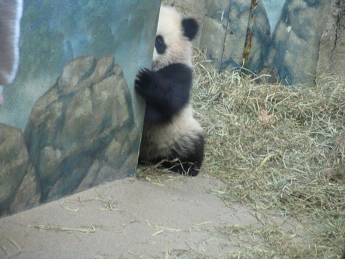 <p>fearful or anxious, especially about the future</p>