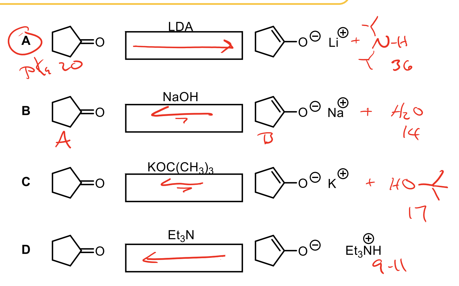 <p>Equilibrium. Remember, we will favor the acid that is the most stable. So whichever one has the highest pKa will be made the most.&nbsp;</p><ol><li><p>LDA + Ketone. Ketone has a pKa of 20. The conjugate acid of LDA has a pKa of 36. For this reason, we will favor deprotonating the ketone (to an enolate) and forming the very stable protonated LDA (36).</p></li><li><p>Ketone (20) -OH (conj. acid 14). We will favor having the ketone but could make some of the deprotonated ketone to enolate. It is much more stable to keep ketone as the acid since it is more stable than water.</p></li><li><p>Ketone (20) + OC(CH3)3 (17). We will favor the ketone becuase 20 is a more stable acid than 17, but it is possible to make some enolate and have a protonated OC(CH3)3, more than with -OH.&nbsp;</p></li><li><p>Ketone (20) and EtN (about 9.4). The EtN protonated makes an acid with a pKa of 9.4 which is very acidic compared to the ketone so we will heavily favor keeping the ketone as the acid and the EtN as the base so almost no enolate at all. Don’t rely on enolate forming.&nbsp;</p></li></ol><p></p>