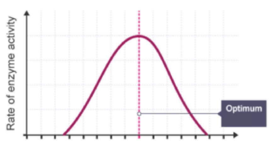 <p>What does this graph represent? Describe its trend</p>