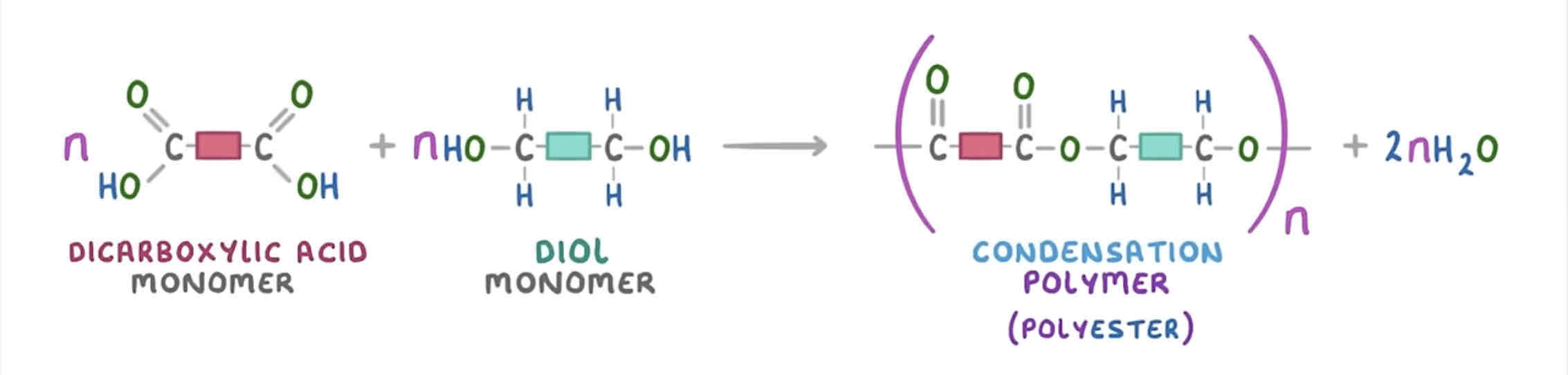 <p>dicarboxylic acid + diol → polyester + water</p>