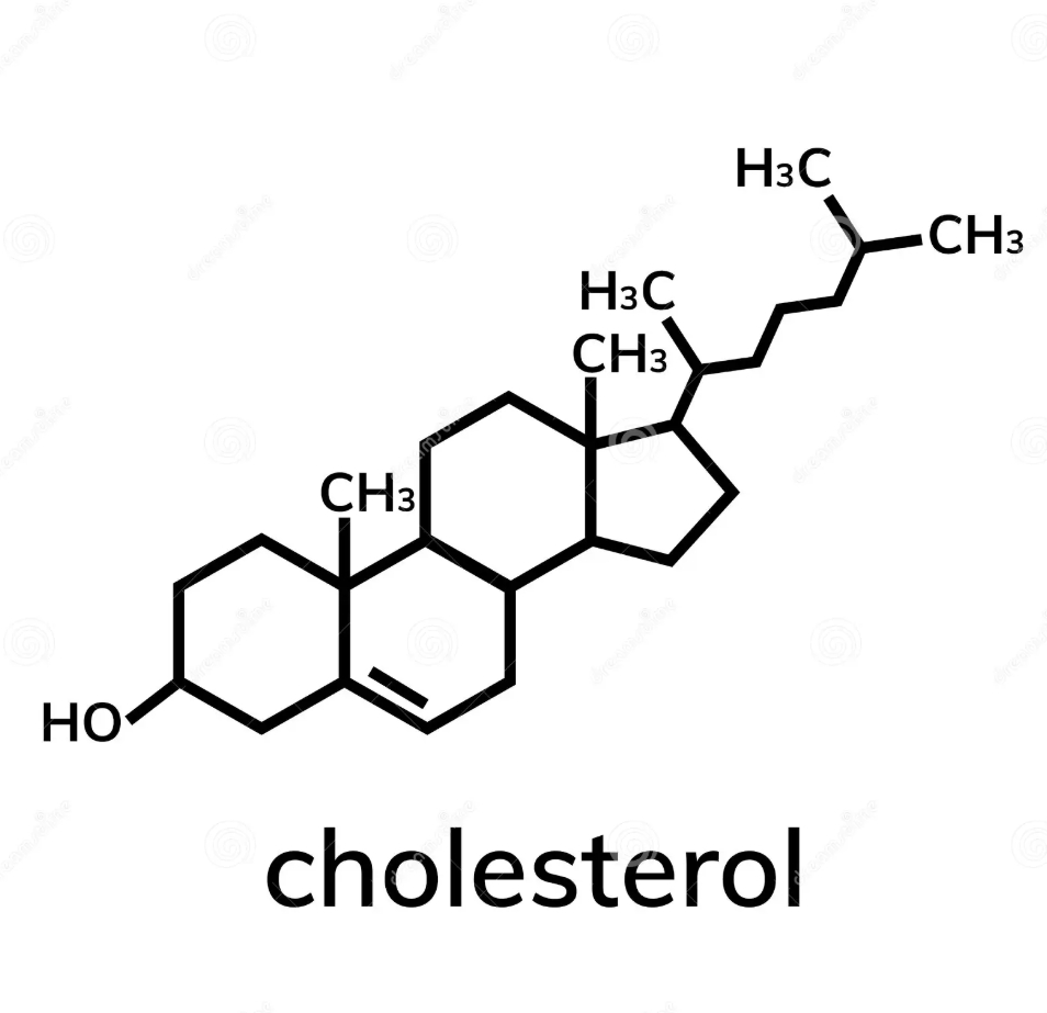 <p>4 linked hydrocarbon rings; biological steroid; polar end has hydroxyl group that is oriented in membranes with hydroxyl group interacting with phospholipid polar head</p><p>C27H46O</p>