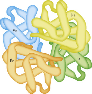 <p><span>Refers to assemblies of two or more individual polypeptide chains into one single functional unit </span></p><ul><li><p><span>Stabilized in a similar way to the tertiary structure</span></p></li></ul><p></p>