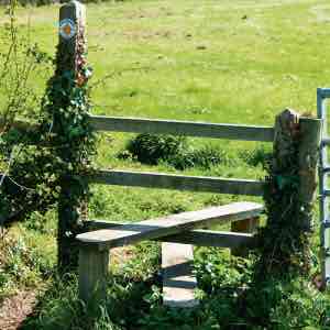 <p>an arrangement of steps that allows people but not animals to climb over a fence or wall.</p>