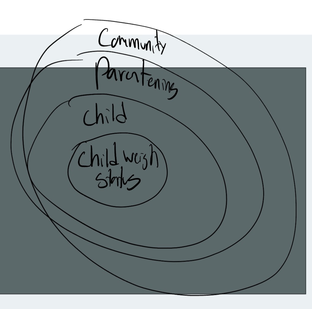 <p>-impacted by the child, parenting, and community</p><p>-modifiable and unmodifiable</p>