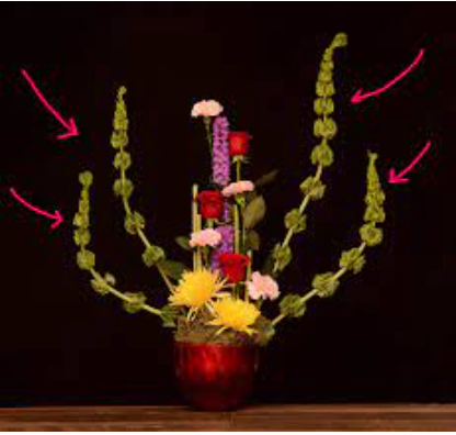 <p>A design technique in which branches of flowers are used around the perimeter of a floral arrangement to direct attention to the materials in the center of the arrangement.</p>