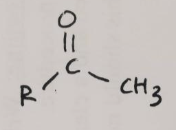 <p>Markov. addition of H2O to alkyne</p>